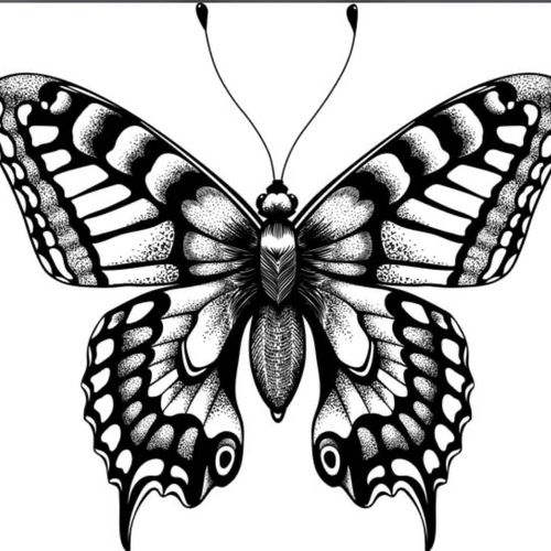 _papillondenuit__ MYM