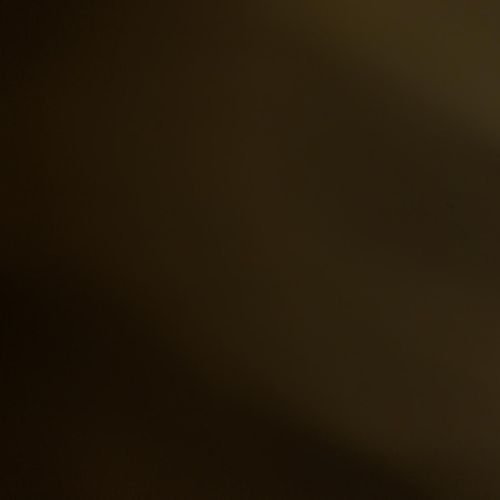 Gino_croco MYM