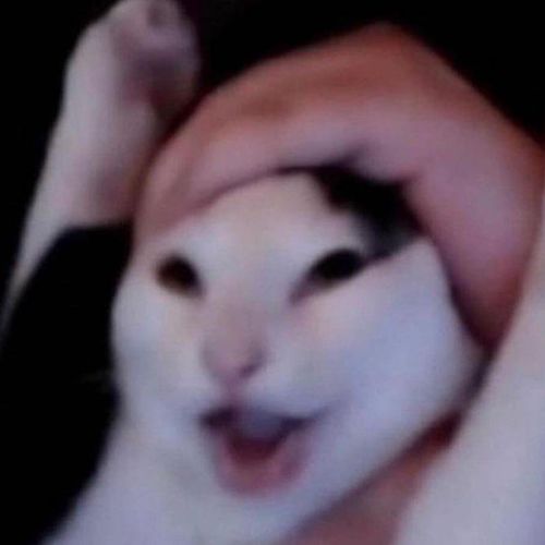 Bussykia MYM