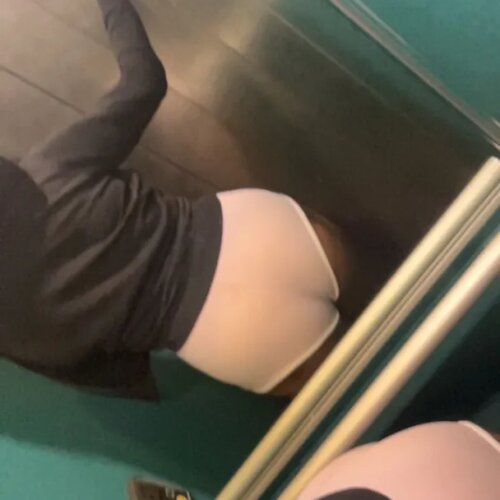 Belluci_marocaine MYM