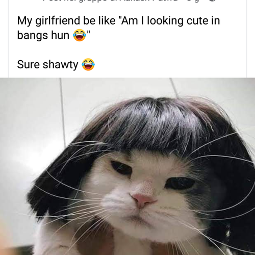 Madame17 MYM