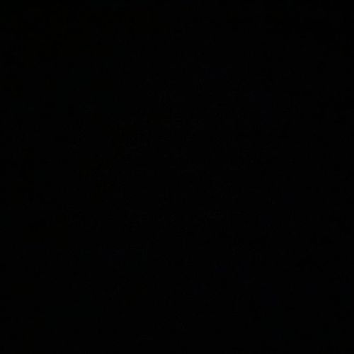 Lafemme-cameleon MYM