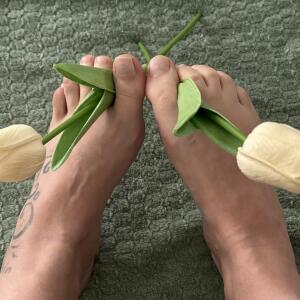 AddictOpieds mym