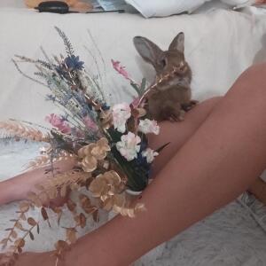 Alba_marino mym