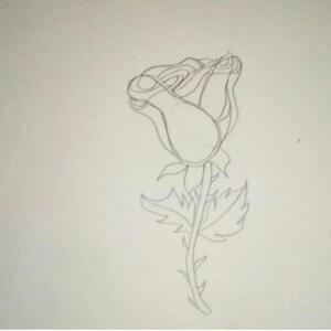 B_art_sly mym