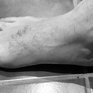 Bigfoot_pics68 mym