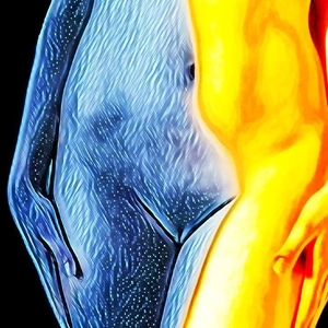 Bluemedusal mym