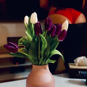 Body_c mym