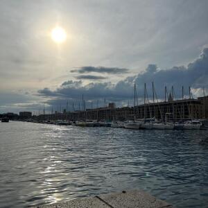 Brune_du_sud mym
