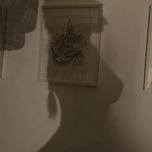 Camille_sartori mym