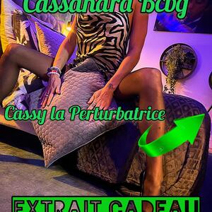 Cassandra_bcbg mym