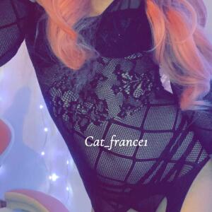 Cat_france1 mym