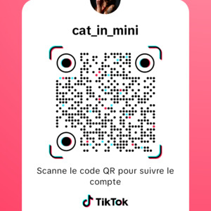 Cat_in_mini mym