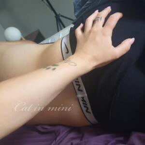 Cat_in_mini mym