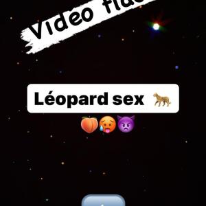 Cat_lyne mym
