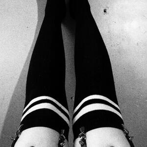 Cerf_inked mym