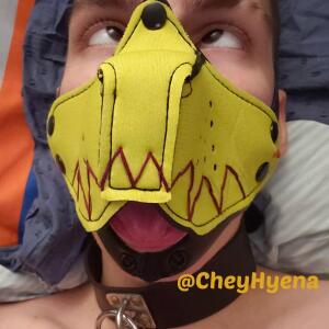 Chey_hyena mym