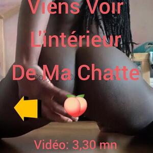 Chienne_africaine_maman_nympho mym