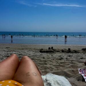 Coccinelle_bleue mym
