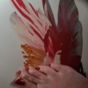 Coraly67 mym
