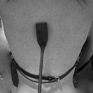 Couplesauvage mym
