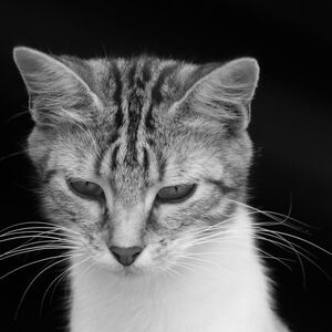 D_photo mym