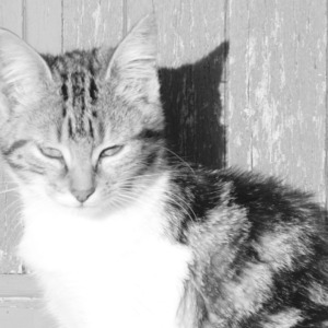 D_photo mym