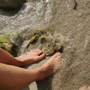 Dama-nogi_feet mym