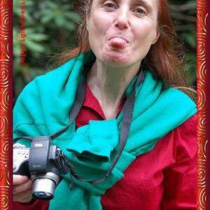 Dandfotorene mym