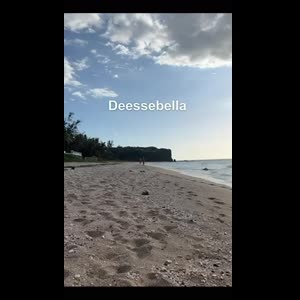 Deessebella mym