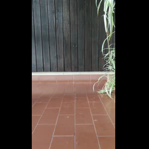 Domina_clara mym