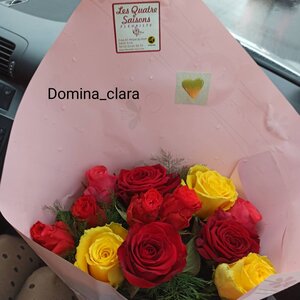 Domina_clara mym