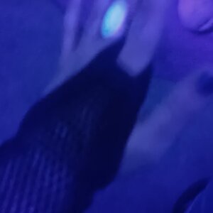 Elisa_j_trans mym