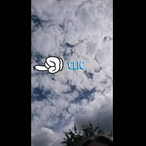 Elisacoquineoff mym