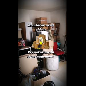 Elisacoquineoff mym
