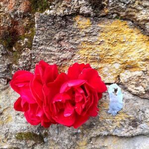 Elo_photo mym