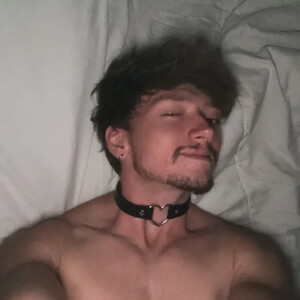 Emiliotortuga mym
