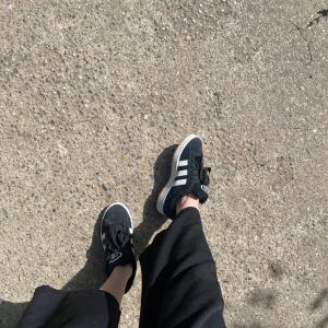 Fa_31 mym