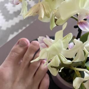 Feet_hands_photos mym