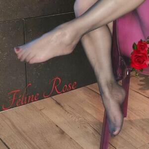 Feline_rose mym