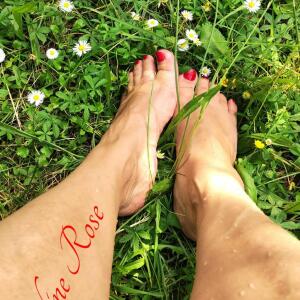 Feline_rose mym