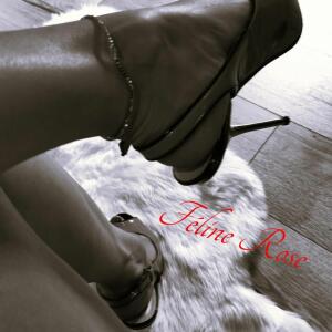 Feline_rose mym