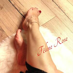 Feline_rose mym