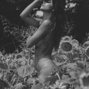 Fleur_sauvage_ mym