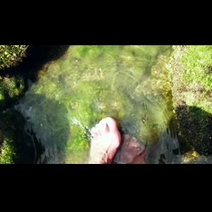 Floresfeet mym