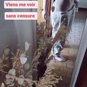 Floweer_fly_ mym