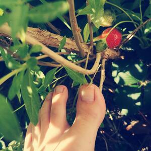 Flowery_feets mym