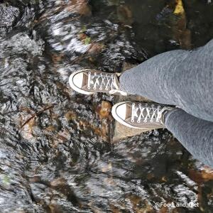 Food_and_feet mym