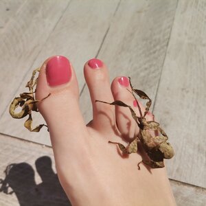 Foot_and_snake mym