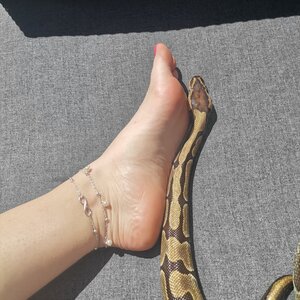Foot_and_snake mym